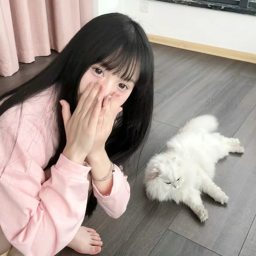 硬胶特警